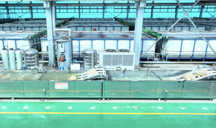 工厂化育秧生产线