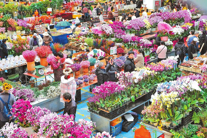 斗南花市供销两旺。 呈贡融媒体供图