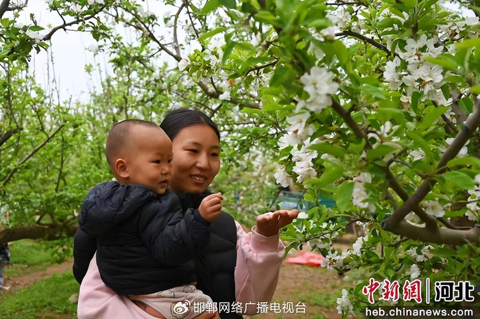 图为游客抱着孩子在树下赏花，近距离感受春日果园的美好。　赵子斌 摄