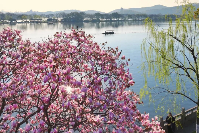 摄影：楼航