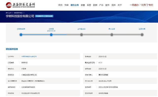 上交所网站截图