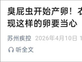 衣服上出现这种绿色小颗粒，千万别摸！