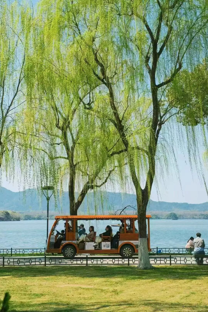 摄影：九月和桃子