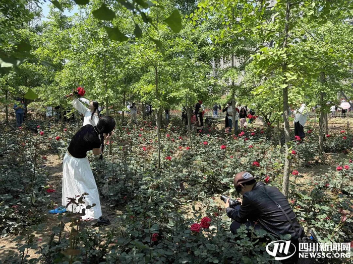 现场打卡的游客