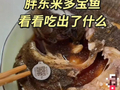 胖东来回应多宝鱼吃出金属标签异物