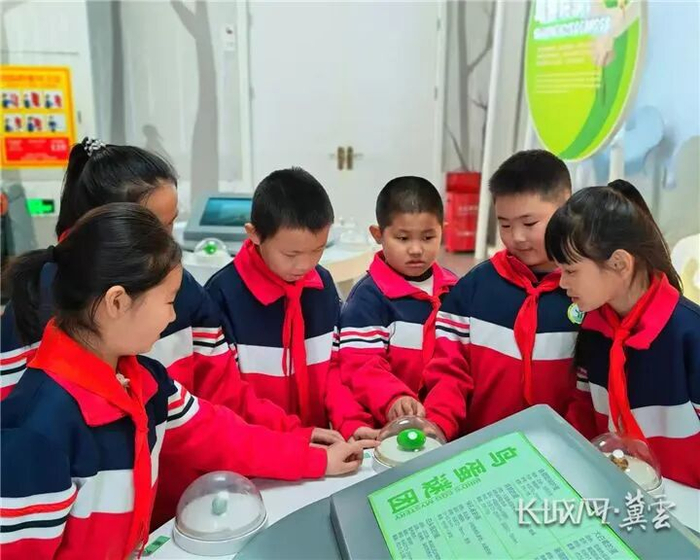 北戴河区海宁路小学师生参观秦皇岛市鸟类博物馆。资料图