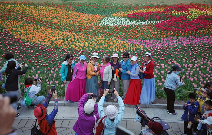 4月13日，国家植物园（北园），游客在郁金香花海游玩、留影。新京报记者 薛珺 摄