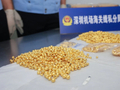 涉案7800万元！特大走私黄金出境案，破获了