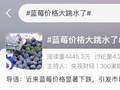关于蓝莓的消费提示