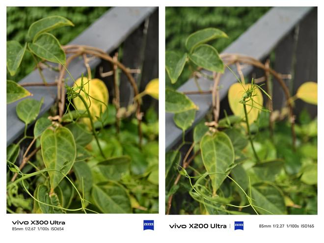 （图源：雷科技摄制）