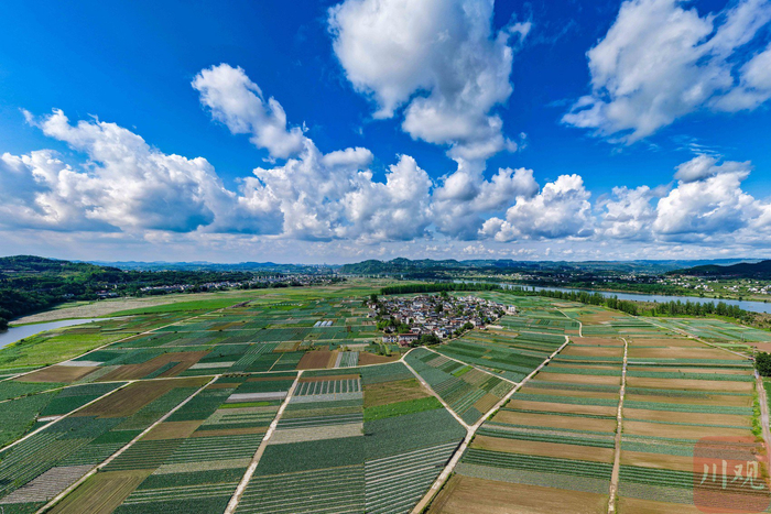 4月14日，位于嘉陵江畔的四川省南充市嘉陵区河西镇蔬菜基地一派生机盎然。
