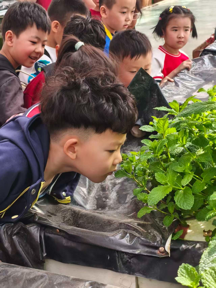 孩子们充满好奇地观察植物