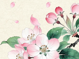 花寄廉语丨海棠：清逸自持 韧而不媚