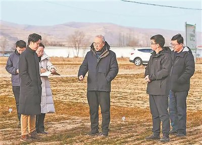 全国政协委员柴守玺（中）在田间开展苗情调研