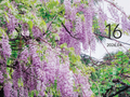 迎日历 | 4月16日，迎 · 茂盛