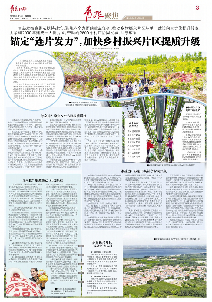 青岛日报2026年4月16日3版