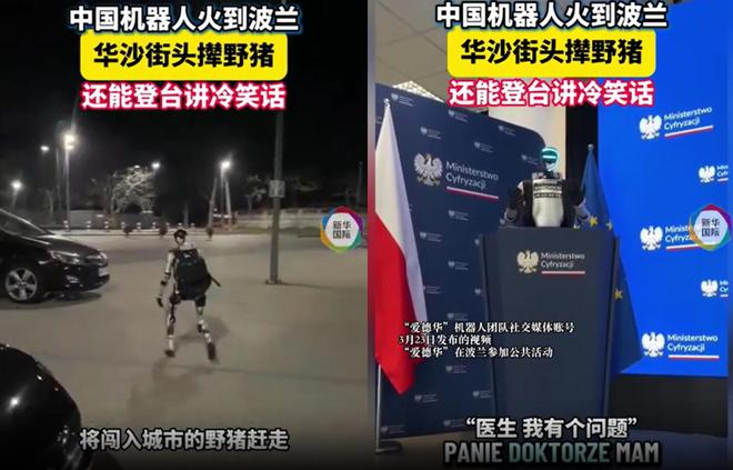 图源：新华国际