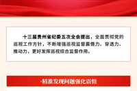 2026年贵州正风肃纪反腐重点任务⑤｜开展第九、十轮巡视……