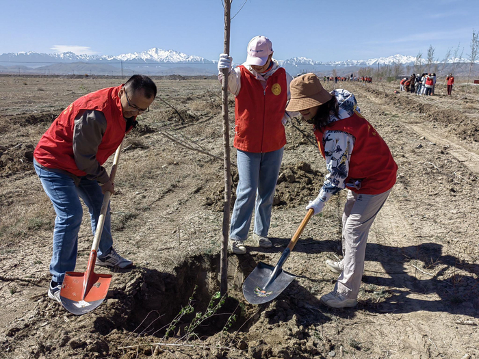 4月15日，兵团红石慈善基金会军垦公益林植树活动在十二师西山农牧场举行。兵团红石慈善基金会 供图