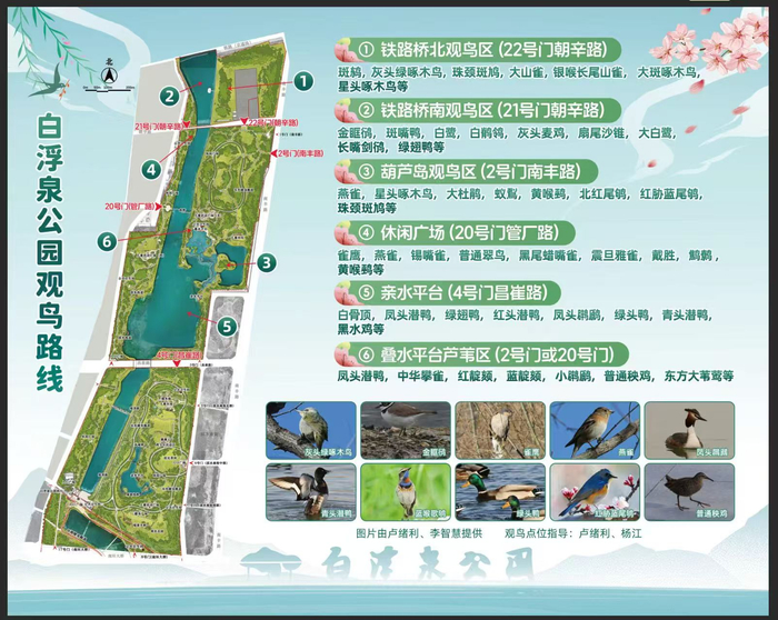 活动上，白浮泉公园发布观鸟路线。主办方供图