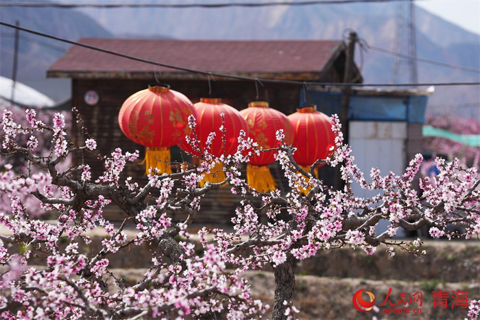 桃花源美景。人民网 顾斐菲摄