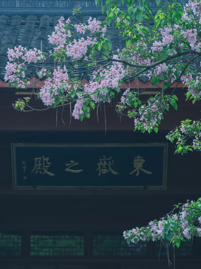 图片/杭州西湖风景名胜区管委会