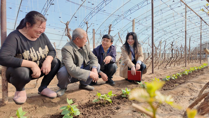 图为唐山市丰润区纪检监察干部联合区农业农村局技术人员在一温室葡萄棚内，向农户了解惠农补贴、扶持政策落实情况。