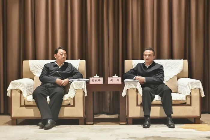 周锋与杨良锋座谈。图源：咸宁发布