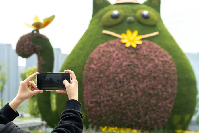 摄影 