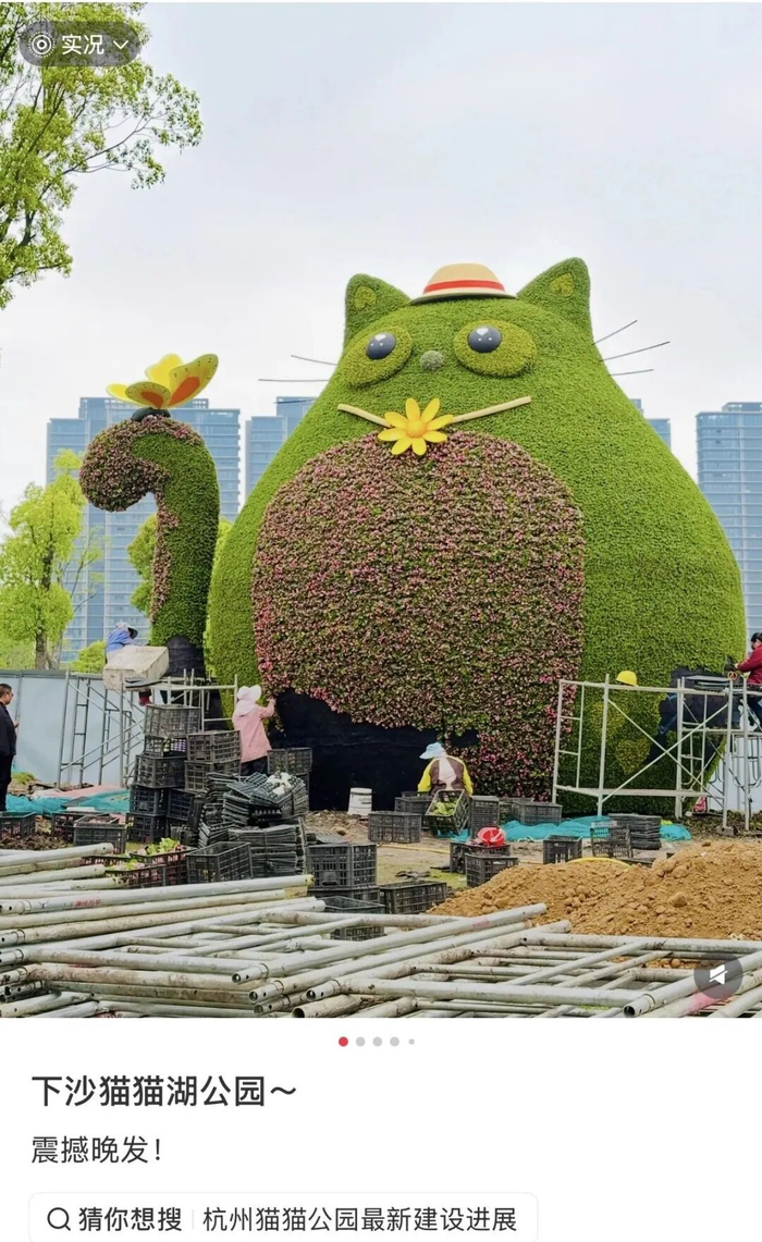 图源网友 无籽芭乐