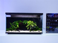 当贝鱼缸2S Ultra发布倒计时1天：AI智能鱼缸的终极答案来了