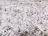 大巴在俄侧翻致2名中国公民遇难，目击者：当时下大暴雪视线差，路面也结冰，后将十多人安顿在自己大巴车上