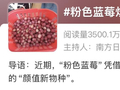 “粉色蓝莓400元一斤”冲上热搜 真相来了→