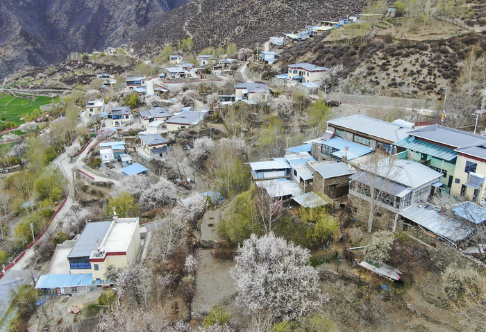 图为错落有致，全新建成入住的朗县仲达镇解协村。记者 刘枫 摄