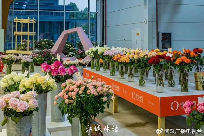 ⊙沙湖公园花木温室花卉品种展示（资料图）