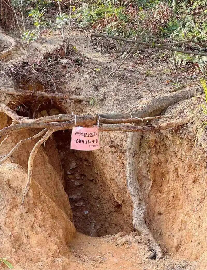 当地社区挂出严禁私挖山体的告示