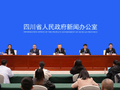 四川法院：3D建模等破解技术类知识产权案件审理痛点丨关注四川省知识产权保护与发展