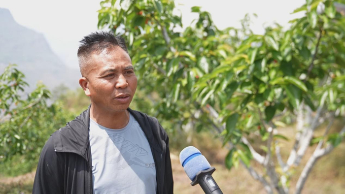六盘水市水城区发耳镇印中山里红种植园负责人罗玉智
