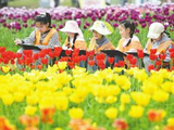 航班取消潮来袭，油价上涨或催生最火“五一”国内游