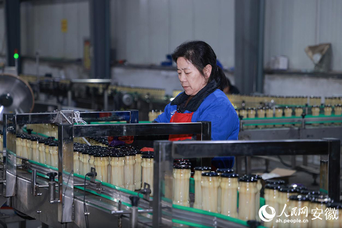 罐头产品生产线上，工人正在忙碌。人民网记者 王晓飞摄