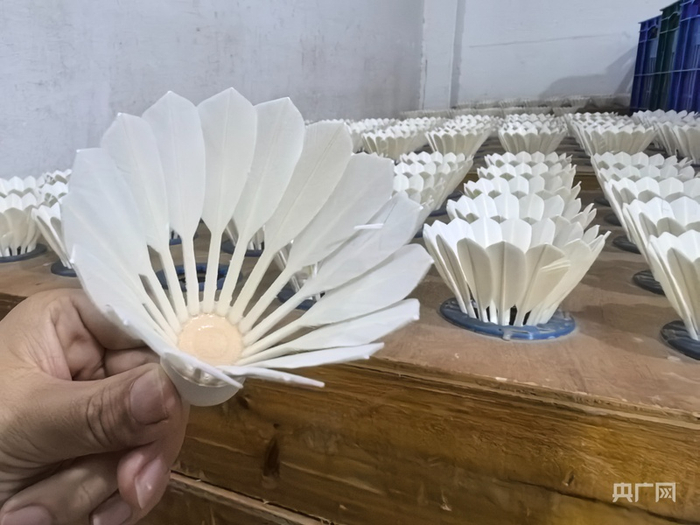 在全国流通的羽毛球中每4个就有1个产自无为（央广网记者  徐鹏  摄）