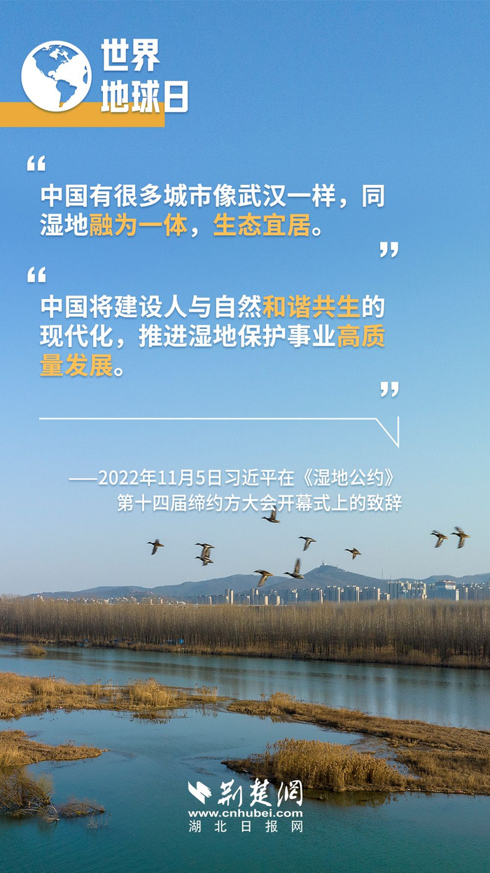 世界地球日 | “绿”意盎然的荆楚答卷_手机新浪网