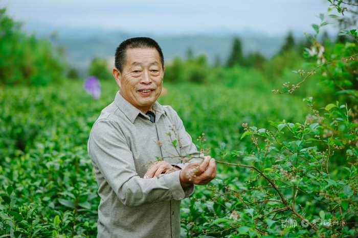 全国林业乡土专家、黎平天益家庭农场创始人欧帮根