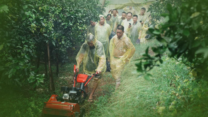 武平六甲果业果园内，农艺师在开展微型耕耘机培训。（受访者供图）