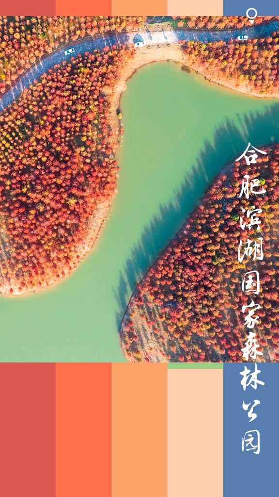 图为合肥滨湖国家森林公园航拍。新华社发（马二虎 摄）