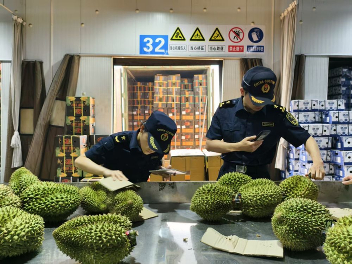 友谊关口岸，海关工作人员正在查验进口货品。新华社记者陈一帆 摄