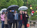 重温雷雨寻根脉 情系周新话工商——杨立新携《雷雨》剧组走进周新里