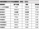 民营银行2025业绩盘点：头部领跑梯队分化，行业承压中寻突围