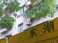 铁皮棚里“缝”出烟火气，南昌这条街藏着一座城市的温度