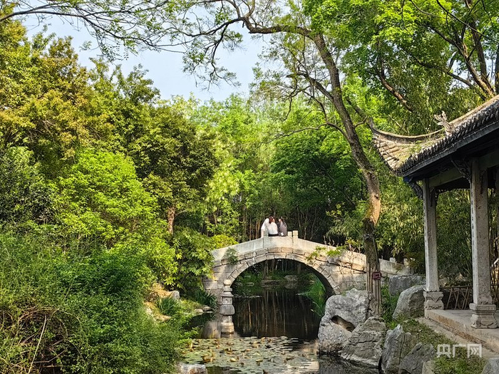尤家花园春日盎然（央广网记者  张琳琳  摄）